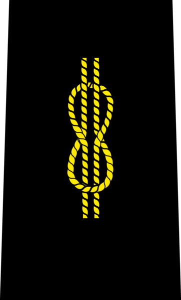 SA Navy Able Seaman insignia