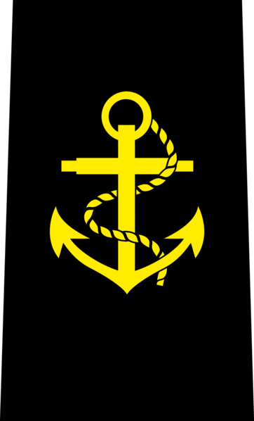 SA Navy Leading Seaman insignia