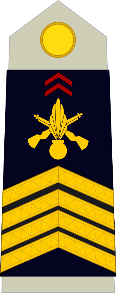Sergent-chef BM2 insignia