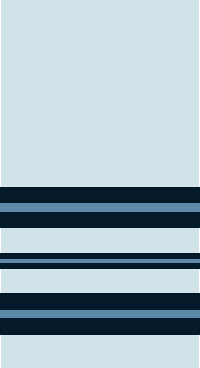Squadron Leader insignia