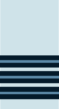 Wing Commander insignia